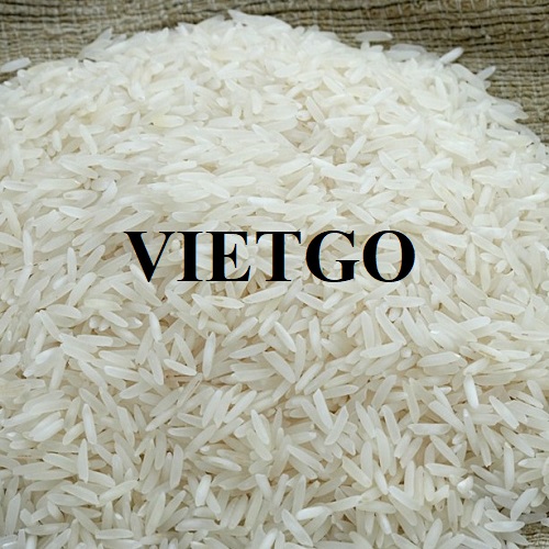 Đối tác đến từ Nam Phi đang cần tìm nhà cung cấp mặt hàng gạo trắng