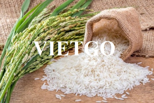 Thương vụ xuất khẩu gạo sang thị trường Bỉ