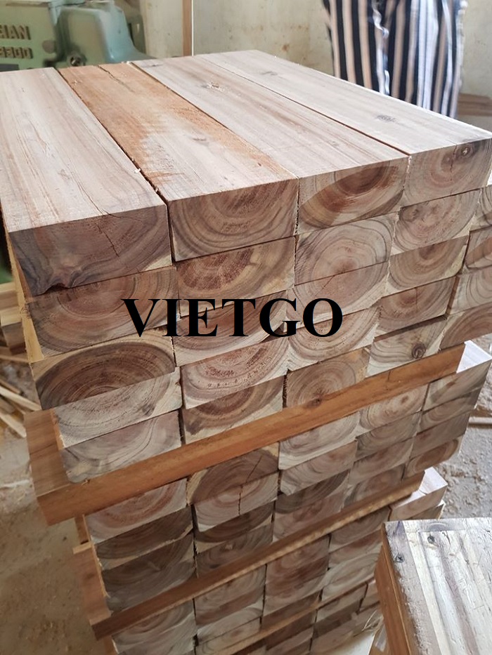 Thương vụ hợp tác xuất khẩu 1000m3 gỗ xẻ cho dự án sản xuất pallet tại Ukraine