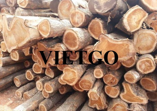 Cơ hội cung cấp gỗ teak tròn sang thị trường Ý