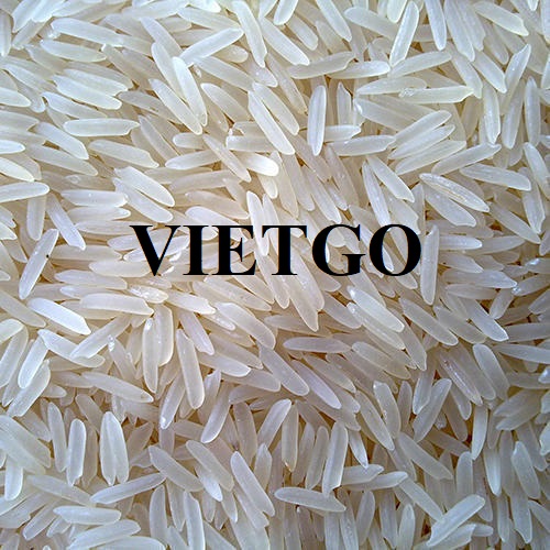 Thương vụ xuất khẩu gạo basmati sang thị trường Thổ Nhĩ Kỳ