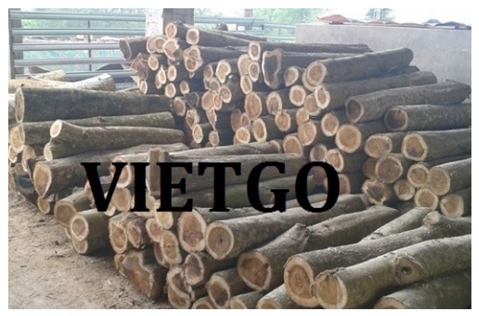 Thương vụ xuất khẩu gỗ keo tròn sang thị trường Trung Quốc