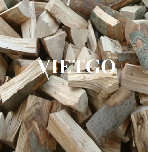 Thương vụ xuất khẩu củi gỗ sồi thường xuyên sang thị trường Ý