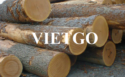 Cơ hội xuất khẩu gỗ sồi tròn đến từ một doanh nghiệp của Séc