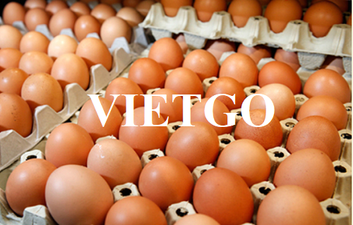 Cơ hội hợp tác với doanh nghiệp lớn ở Thổ Nhĩ Kỳ cho đơn hàng xuất khẩu trứng gà với số lượng lớn