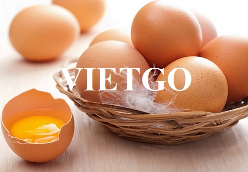 Cơ hội trở thành nhà cung cấp cho đơn hàng xuất khẩu trứng gà sang thị trường Ý