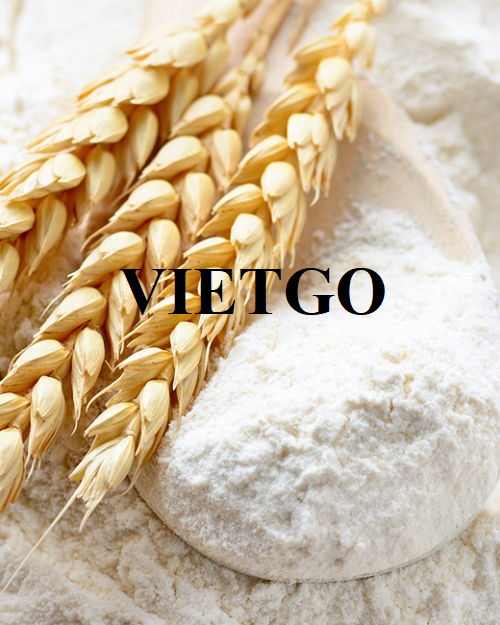 Thương vụ hợp tác xuất khẩu bột mì cho một doanh nghiệp tại Trung Quốc