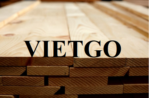 Thương vụ xuất khẩu gỗ thông xẻ sang thị trường Latvia