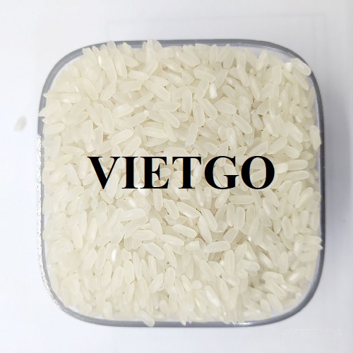 Thương vụ hợp tác với một doanh nghiệp tại Ai Cập về đơn hàng nhập khẩu gạo