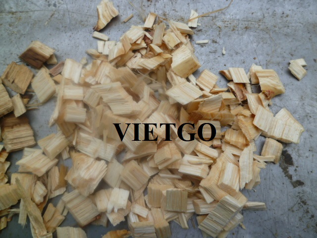 Đối tác người Trung Quốc dự kiến nhập khẩu 38.400 tấn gỗ vụn cho dự án sản xuất bột giấy sắp tới
