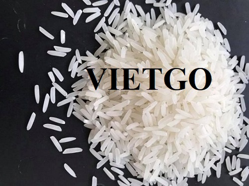 Thương vụ xuất khẩu gạo sang thị trường Hà Lan và Đức