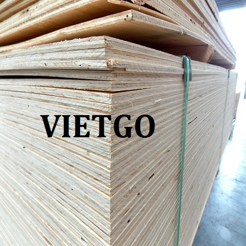 Thương vụ xuất khẩu 340.000 tấm gỗ dán sang thị trường Hàn Quốc
