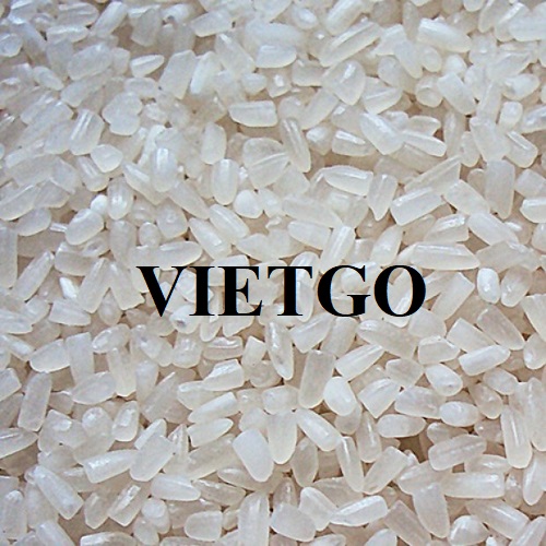 Cơ hội xuất khẩu gạo trắng hàng tháng đến từ một doanh nghiệp Trung Quốc