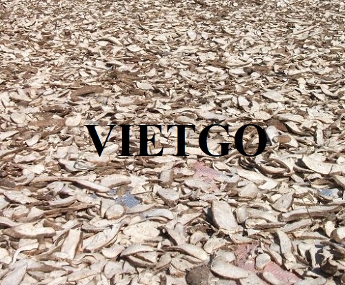 Thương vụ hợp tác xuất khẩu sắn lát khô sang thị trường Trung Quốc