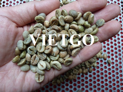 Cơ hội hợp tác với vị thương nhân người Ý cho đơn hàng xuất khẩu cà phê