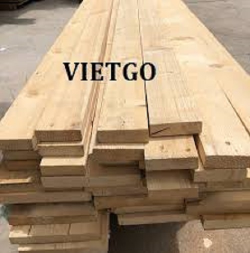 Thương vụ xuất khẩu gỗ thông xẻ sang thị trường Ai Cập