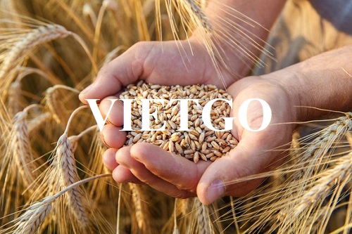 Đối tác đến từ Iran cần tìm nhà cung cấp sản phẩm lúa mì