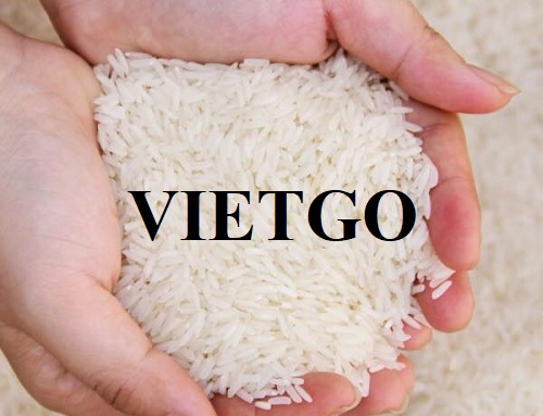 Cơ hội hợp tác với vị thương nhân người Trung Quốc cho đơn hàng xuất khẩu số lượng lớn gạo trắng