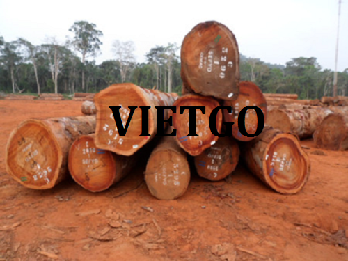 Cơ hội hợp tác với doanh nghiệp Bangladesh cho đơn hàng xuất khẩu gỗ lim