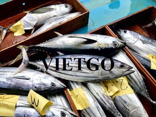 Vị khách hàng đến từ Pakistan cần tìm nhà cung cấp cá ngừ cho đơn hàng xuất khẩu sang thị trường Thái Lan