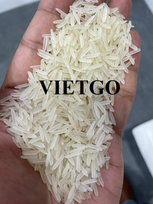 Cơ hội trở thành nhà cung cấp cho sản phẩm gạo xuất khẩu sang thị trường Qatar