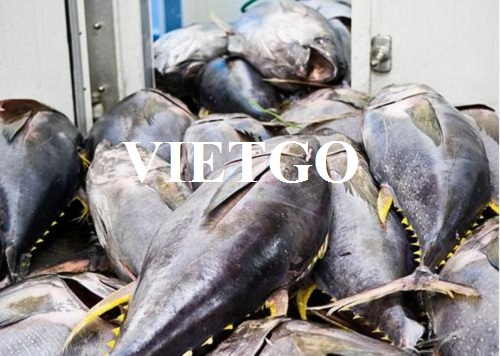 Vị khách hàng tại Ý đang tìm kiếm nhà cung cấp cho sản phẩm cá đông lạnh