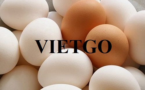 Cơ hội trở thành nhà cung cấp cho đơn hàng xuất khẩu trứng gà sang thị trường Bỉ