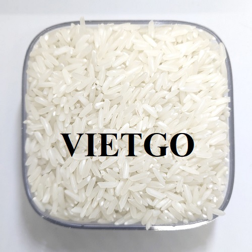 Cơ hội hợp tác xuất khẩu gạo trắng đến thị trường Philippines