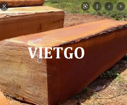 Thương vụ xuất khẩu mặt hàng gỗ lim xẻ hộp sang thị trường Việt Nam