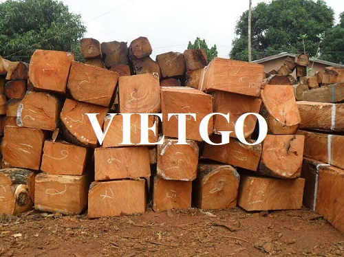 Thương vụ xuất khẩu mặt hàng gỗ gõ xẻ hộp sang thị trường Việt Nam