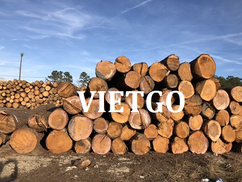 Thương vụ xuất khẩu mặt hàng gỗ thông tròn sang thị trường Trung Quốc