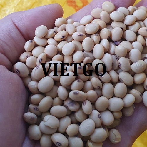 Cơ hội hợp tác cho đơn hàng xuất khẩu đậu nành tới thị trường Việt Nam