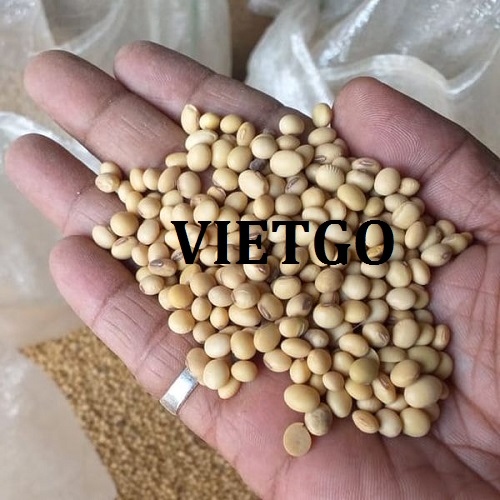 Cơ hội hợp tác xuất khẩu hạt đậu nành đến thị trường Trung Quốc