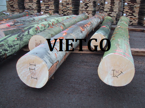 Thương vụ xuất khẩu gỗ dẻ gai tròn sang thị trường Trung Quốc
