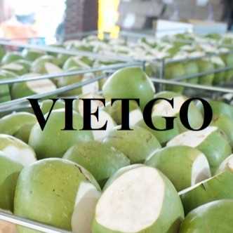 Cơ hội giao thương xuất khẩu dừa tươi đến thị trường Thái Lan