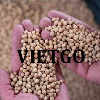 Cơ hội hợp tác xuất khẩu đậu nành đến thị trường Việt Nam