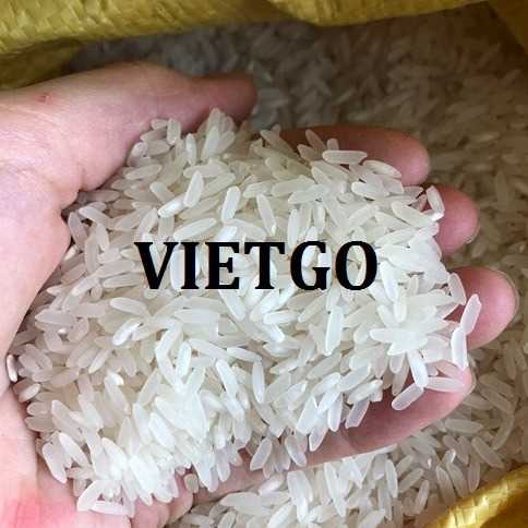 Cơ hội hợp tác xuất khẩu gạo đến thị trường Ai Cập
