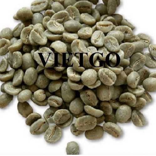 Cơ hội hợp tác xuất khẩu hạt cà phê sang thị trường Hoa Kỳ