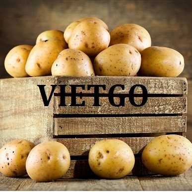 Cơ hội hợp tác xuất khẩu khoai tây sang thị trường Georgia