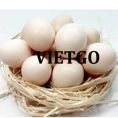 Cơ hội hợp tác xuất khẩu trứng đến từ một doanh nghiệp nước Tây Ban Nha