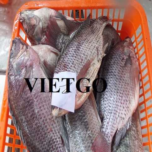 Cơ hội xuất khẩu cá tươi tới thị trường Qatar