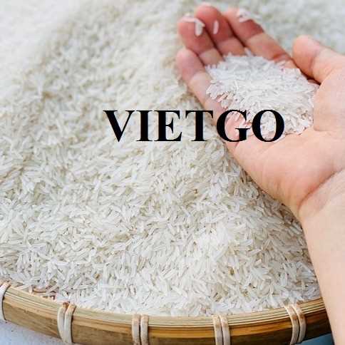 Cơ hội xuất khẩu gạo sang Cộng hòa Serbia 