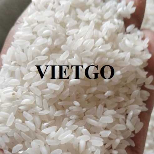 Cơ hội xuất khẩu gạo sang thị trường Thổ Nhĩ Kỳ