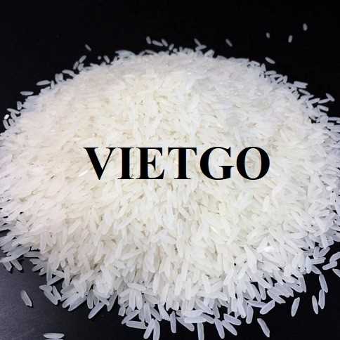 Cơ hội xuất khẩu gạo trắng đến từ vị khách hàng người Canada