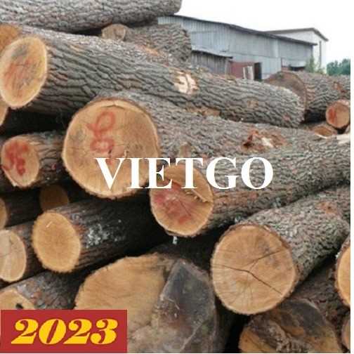 Cơ hội xuất khẩu gỗ sồi và gỗ teak sang thị trường Croatia và Montenegro