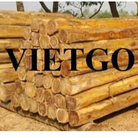 Cơ hội xuất khẩu gỗ teak xẻ hộp sang thị trường Ấn Độ