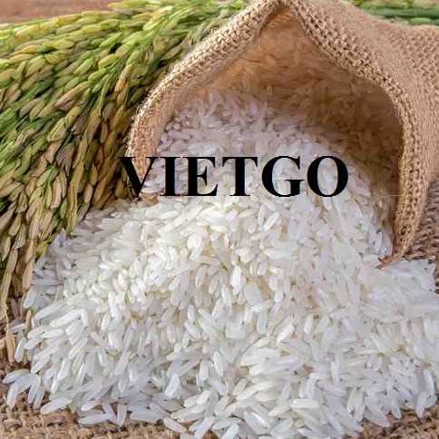 Cơ hội xuất khẩu sản phẩm gạo đến từ vị khách hàng người Mỹ 