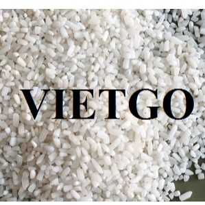 Thương vụ xuất khẩu gạo sang thị trường Tây Ban Nha