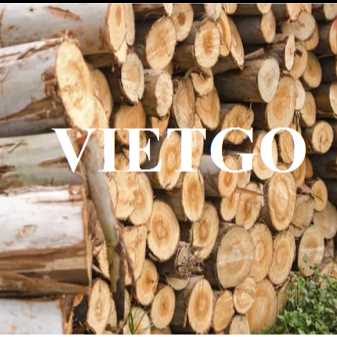 Thương vụ xuất khẩu gỗ bạch đàn tròn sang thị trường Malaysia