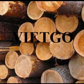 Thương vụ xuất khẩu gỗ cao su tròn sang thị trường Malaysia